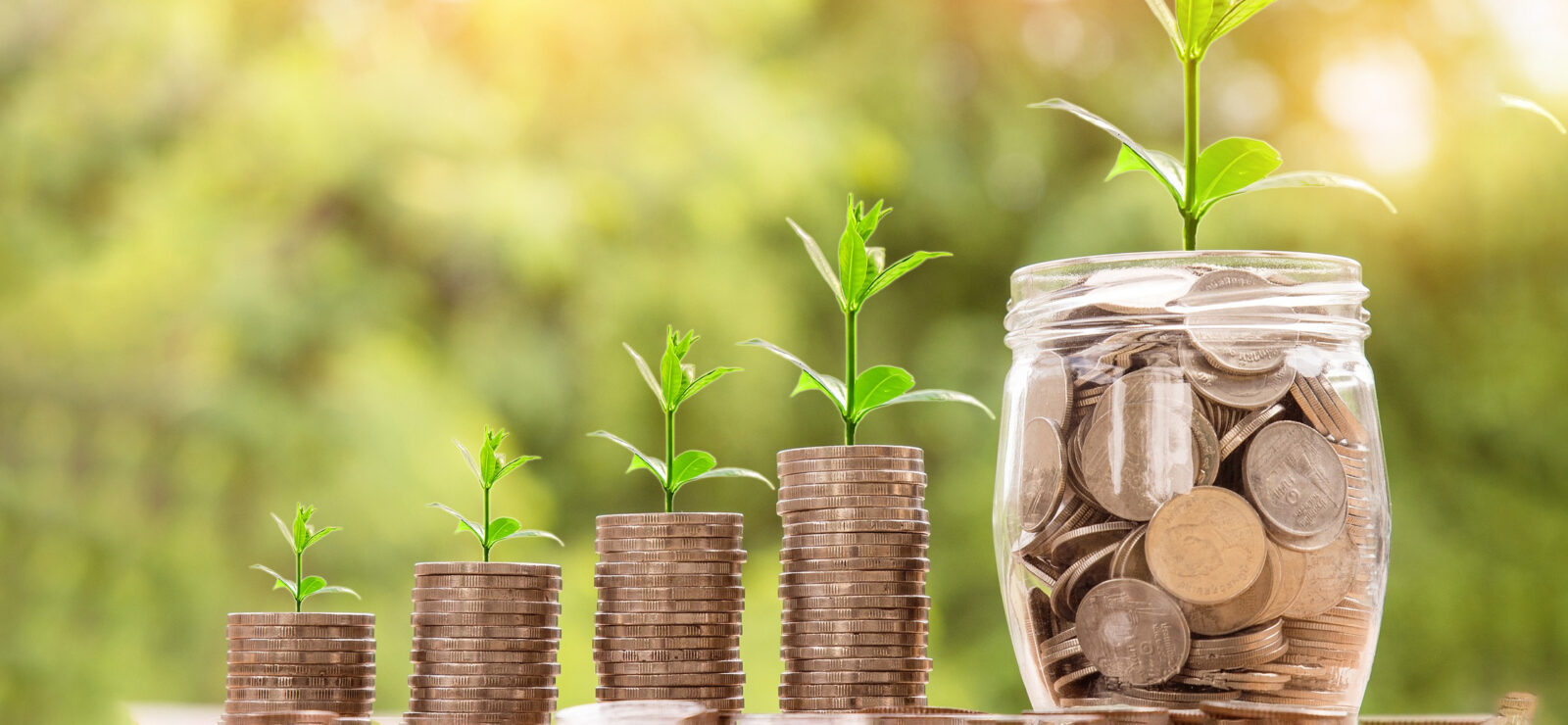 4 stacks of coins and then 1 glass pot of coins, representing the 5 tips in this blog. Each stack/ pile of coins has a small green stalk with leaves growing, signifying these tips will help you grow your public sector success.