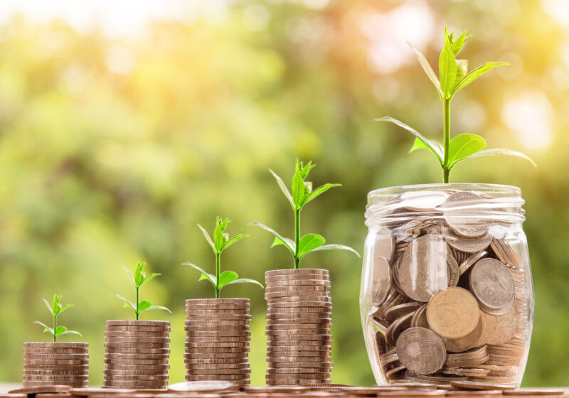 4 stacks of coins and then 1 glass pot of coins, representing the 5 tips in this blog. Each stack/ pile of coins has a small green stalk with leaves growing, signifying these tips will help you grow your public sector success.